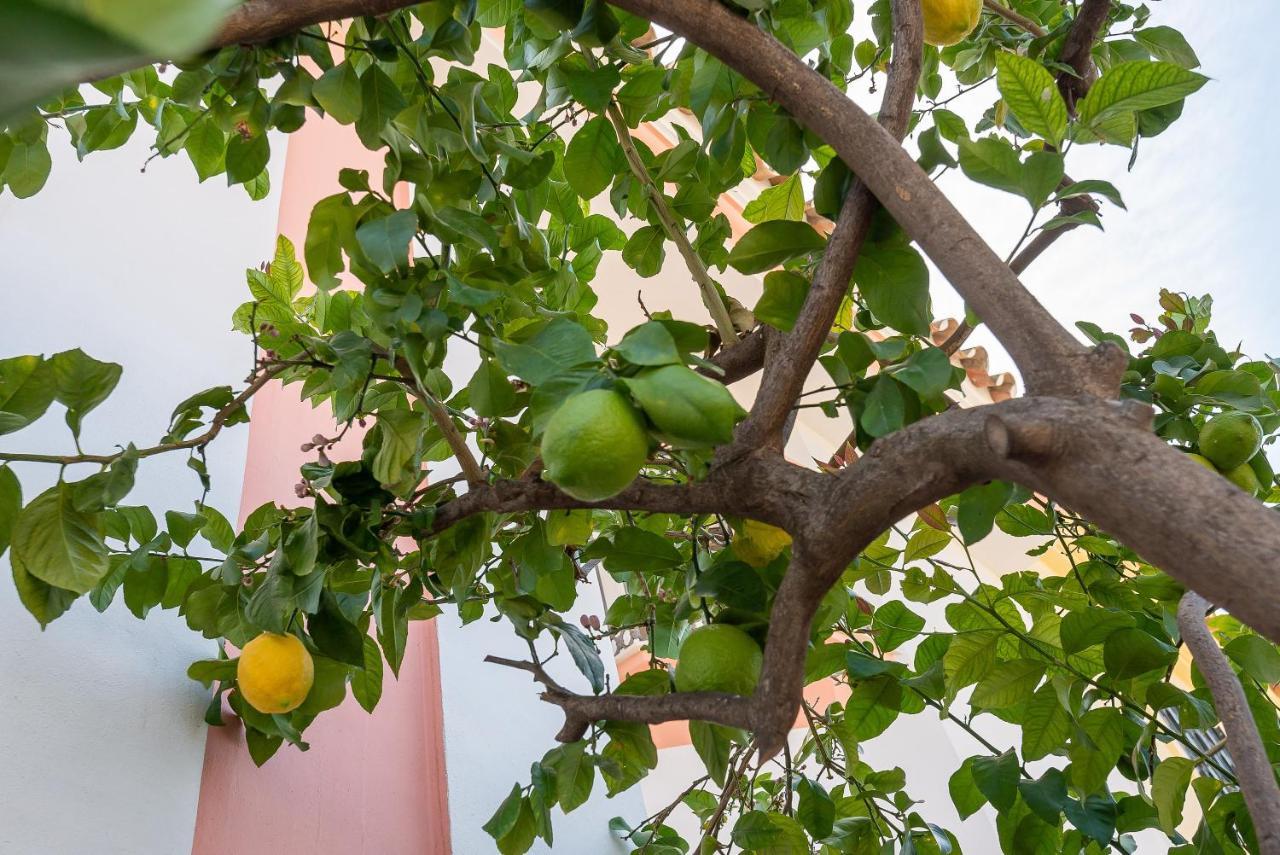 Villa Angeles Marbella Eksteriør billede
